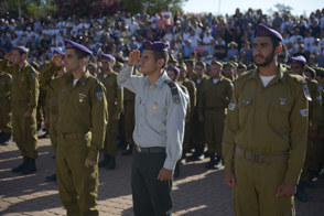Copy Of Yhv2513