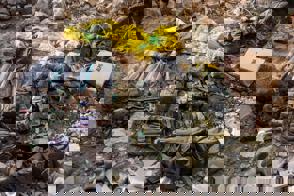 C7fe09a0 61B7 4342 9Ef3 4Ae553cfb001