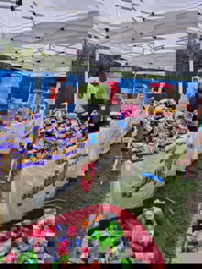 9F8c3826 B2c9 40Db Bc81 F5c08f6165ce