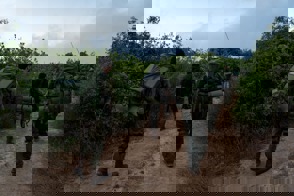 Whatsapp Image 2024 07 24 At 10.47.19