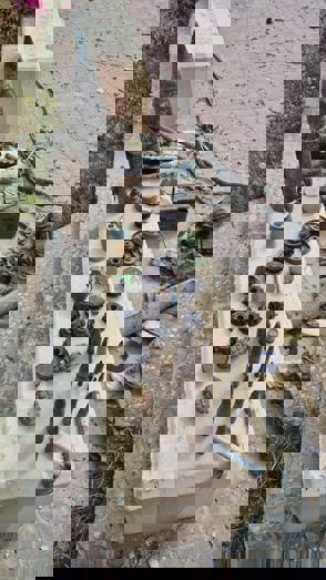 9251Cff0 Fc56 452F 80A2 F7648d0cd41d