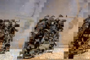 4514 (12) 0
