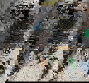 5384Cac4 D61e 4133 B1ff 5A7cc8a9d93a