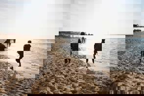 8 5