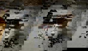 Whatsapp Image 2024 10 14 At 21.38.26