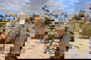 22C31ee7 C904 4B23 B439 40607A3dc999