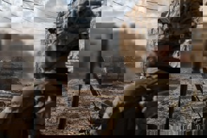 2E96fbb8 Dd3c 463B B191 D85a471d4f8f