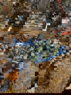 Whatsapp Image 2023 12 07 At 17.24.38