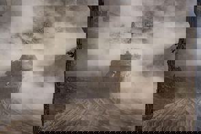 143Dc354 9D66 462B B32c C1a6b48e4e20