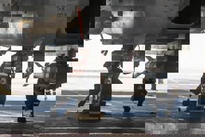 922Eb21b Eb01 443C Bb9e 93F6caff3649