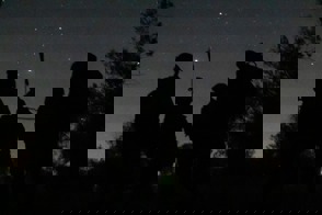 15B3f68a 44Cb 4Abd B468 3Df5f3538b5a (1)