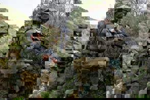 MLG 4484 Min