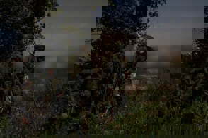 B7687806 3720 4122 83C7 B11609d48fd6