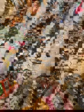 Whatsapp Image 2024 08 14 At 13.27.08