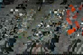 Whatsapp Image 2024 06 30 At 08.46.54