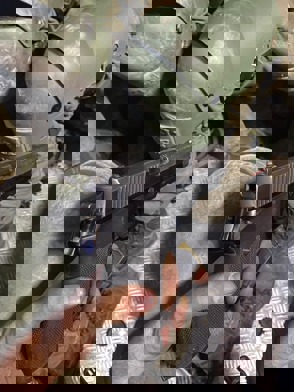 F2becb67 3B9c 43F1 9Ba3 C1cd44c13905