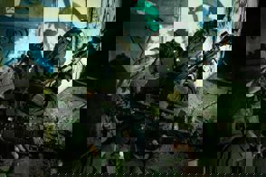 Whatsapp Image 2022 07 12 At 12.20.12 (1)