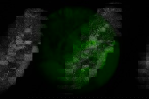 Whatsapp Image 2026 03 14 At 180029