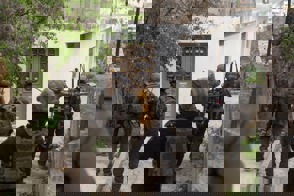 857Ccafc 7556 44C8 A1df 4955E96c23e9