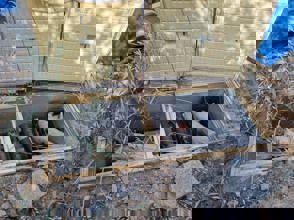 Whatsapp Image 2023 11 21 At 20.01.57