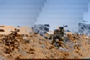 2A5a6905 6Cc8 485E 9C29 14B013ae4fc5