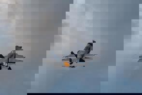 B4e7fbda 3A8d 4B5a A208 0D920df69db6 (1)