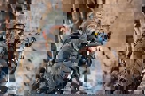 76Fc5b84 5C1c 4F09 80A2 A5ef899d6ce1