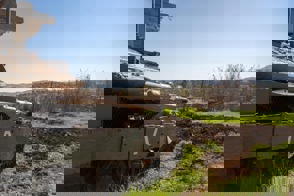 8D313034 Bafc 42C4 Bf88 2C2f42e0e734 (1)