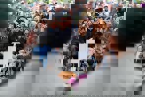 Ad9eab54 Ac8a 43De Ba91 8Dcfc0694d88