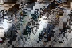 Whatsapp Image 2024 01 31 At 16.23.35