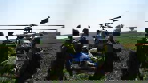 5Fe1bd61 C6d6 4Ec3 8803 0C403cbf19f1 (1)
