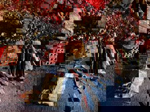 Db6ed708 B5dd 406D A6b3 5A0edbdcd8b3