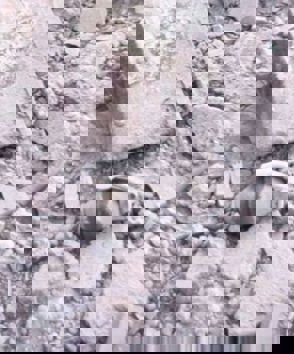 11E086e9 C856 4Eb4 Ae30 D76d59873a5b