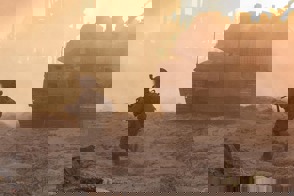 Fac05971 8866 4112 8F09 7D5ad666e950