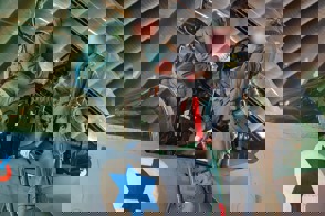 C7a0fbfc C15b 4F58 Befb 6Cae157db6cf (2)