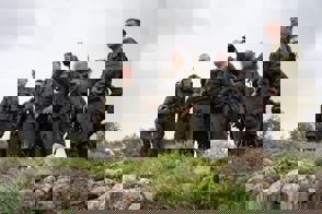 6E6d8176 9224 4619 A843 Edd1bcdfc55e