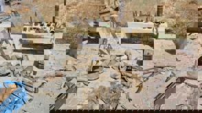 Ee076edb 7Af6 4Ca4 90Dd 4E31cd998e7d