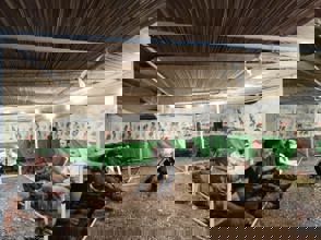 Whatsapp Image 2025 11 16 At 14.42.45