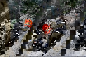 2844Be38 00Fc 4E42 B3f1 4Eb81946fd80