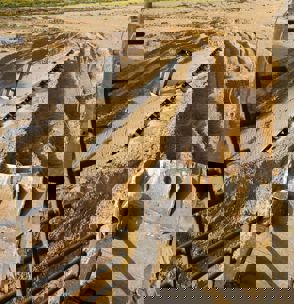 A01f26d1 35B0 426C B819 1C6bb207e465
