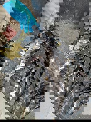 1158870A 6Fcf 4C56 822C 27D0430f18ff (1)