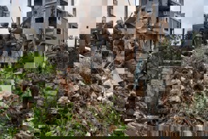 Ecc25e40 4555 4970 Aaed 2D7b49eae4d1