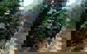 Af8e009c A048 4F82 9879 602291B9f001