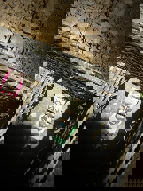 Dc5d516f 3F61 46Cd 94D5 49B06122c75d