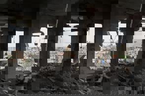 Cd19e1b5 Dec3 47A4 82A4 8B0ab45bafc8