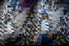 C1f2e912 D4d1 49C1 Bd11 Ab6e1914f12a