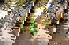 69334906 E330 41D3 B988 Dc2ab452c619