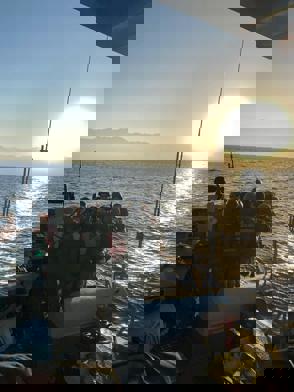 C3793468 9Aa3 4Dcc 94D1 A2efb1014ba6