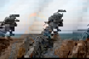 Fe6ad980 3A4a 4203 Acca 8B5d517a427b