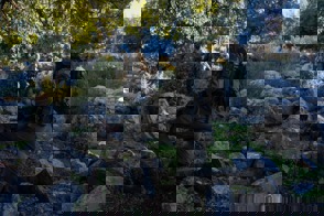 A03ad1c3 0949 44F4 Bb9b 548De8c4aba9